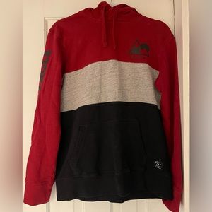 American Eagle Blocked Hoodie